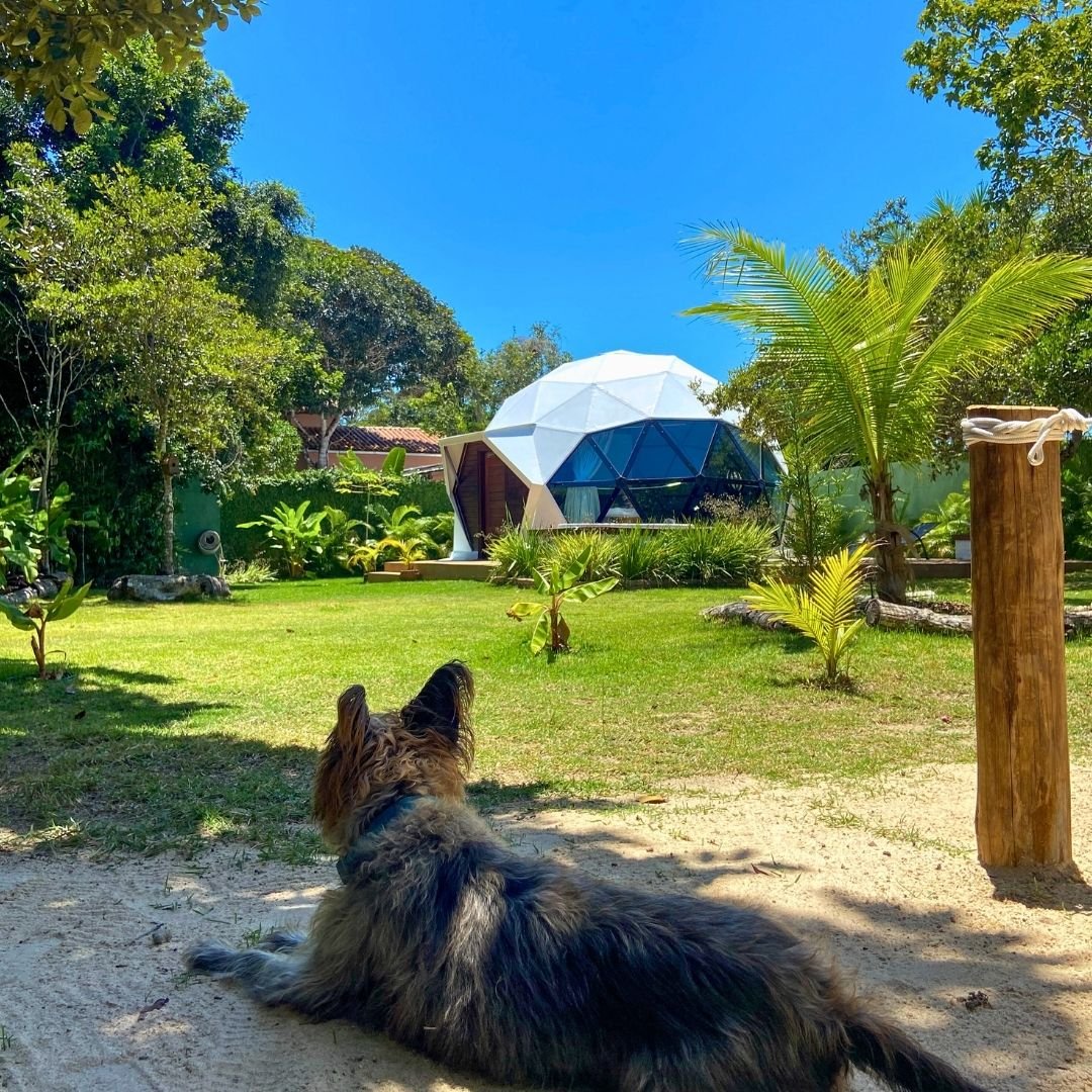 Design sem nome (91) Design sem nome (91)