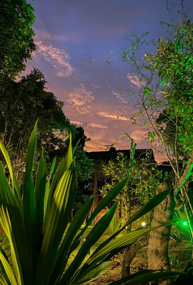 1674752568990 - Copia