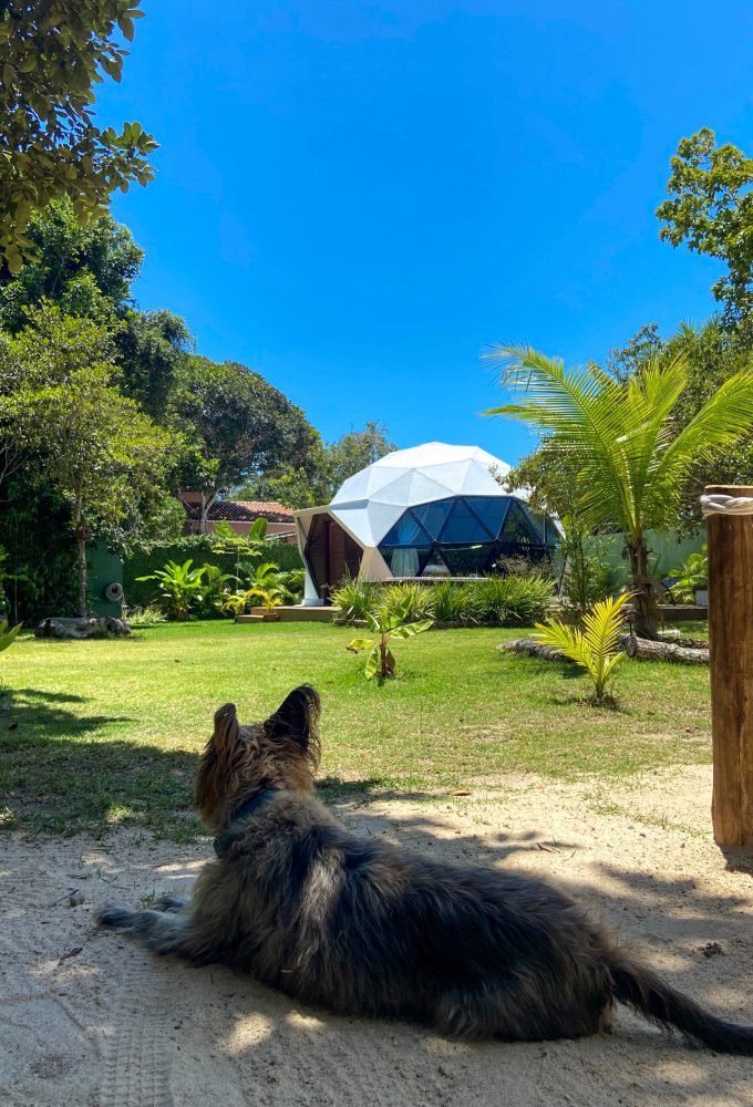 F9CEB786-4FE1-457A-88E8-1A027CE344CF